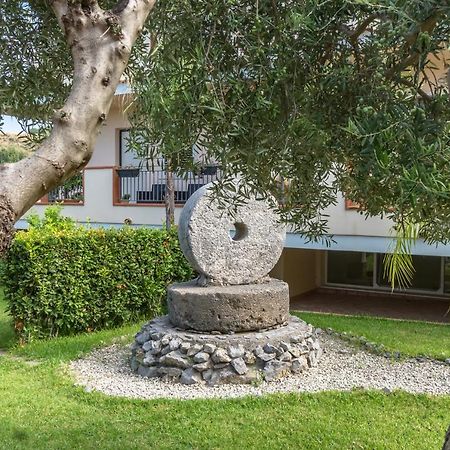 B&B Villa Degli Ulivi Praia a Mare Dış mekan fotoğraf