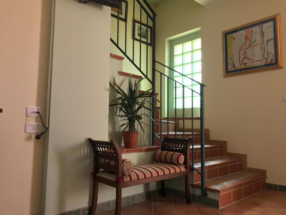 B&B Villa Degli Ulivi Praia a Mare Dış mekan fotoğraf