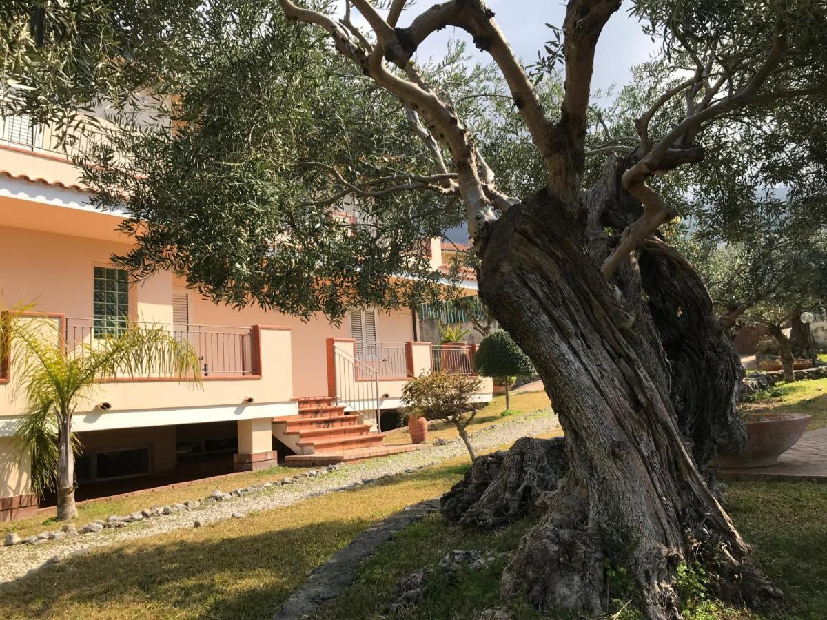 B&B Villa Degli Ulivi Praia a Mare Dış mekan fotoğraf
