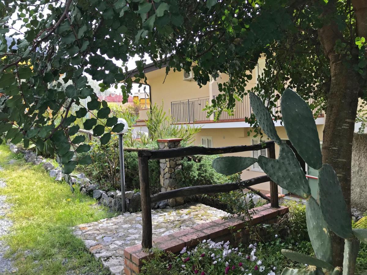 B&B Villa Degli Ulivi Praia a Mare Dış mekan fotoğraf