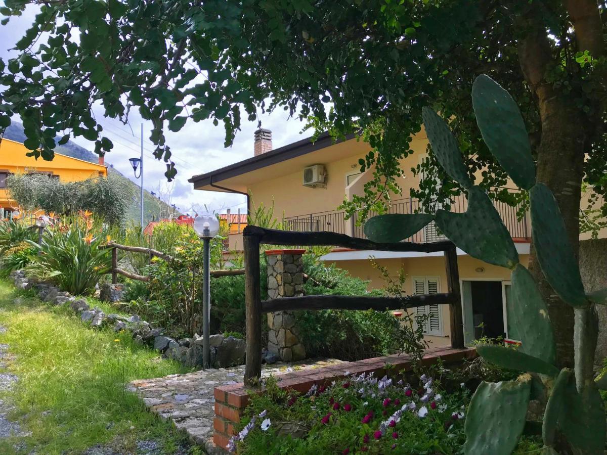 B&B Villa Degli Ulivi Praia a Mare Dış mekan fotoğraf