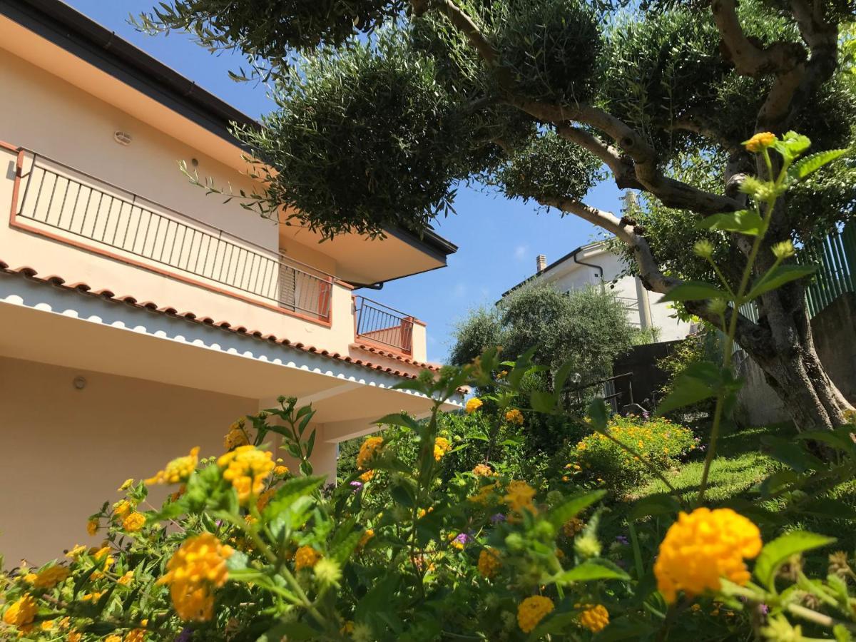 B&B Villa Degli Ulivi Praia a Mare Dış mekan fotoğraf