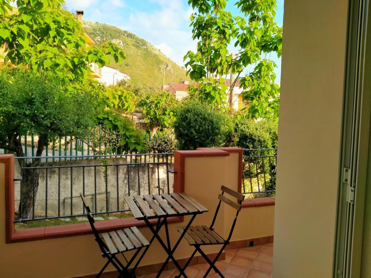 B&B Villa Degli Ulivi Praia a Mare Dış mekan fotoğraf