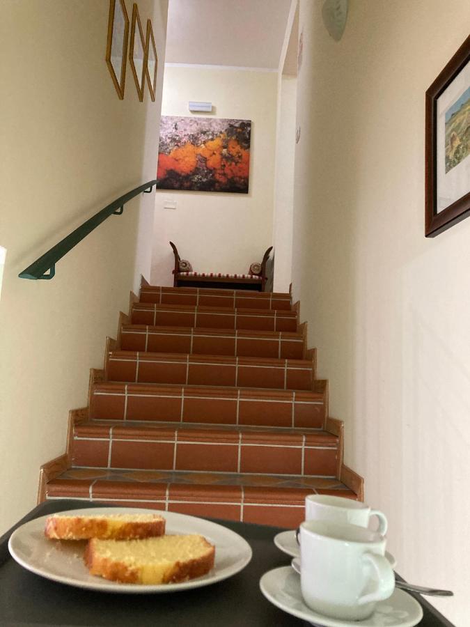 B&B Villa Degli Ulivi Praia a Mare Dış mekan fotoğraf